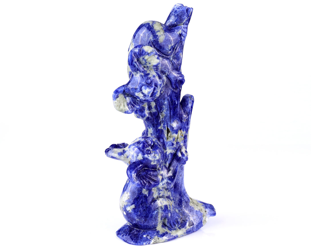 4.3" Sodalite Hand Carved Crystal Koalas Sculpture crysvibe