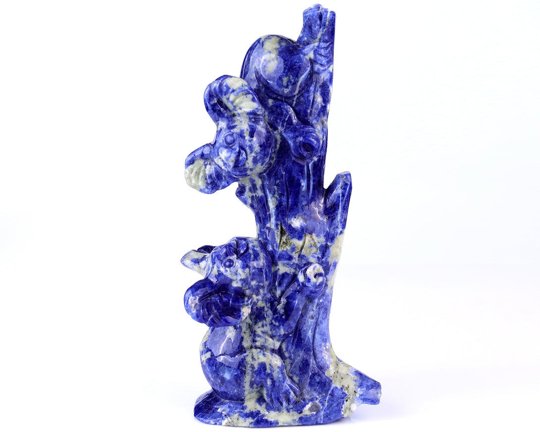 4.3" Sodalite Hand Carved Crystal Koalas Sculpture crysvibe