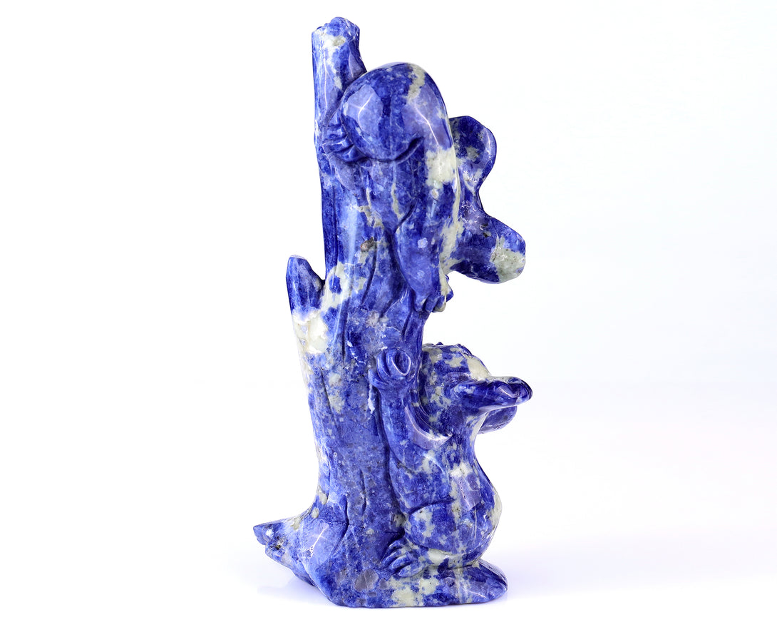 4.3" Sodalite Hand Carved Crystal Koalas Sculpture crysvibe