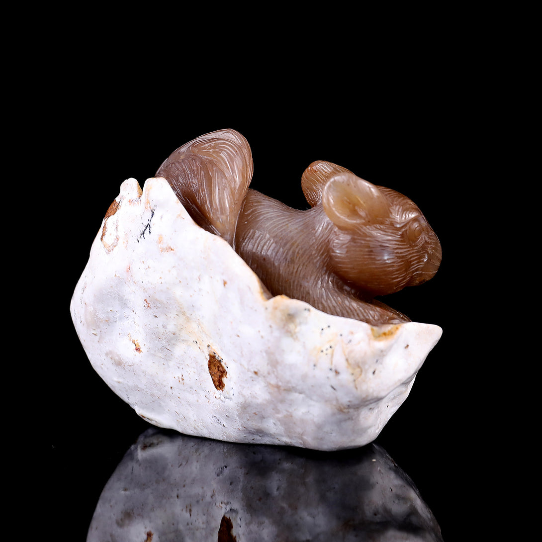 4.5" Chalcedony Hand Carved Crystal Squirrel Sculpture crysvibe