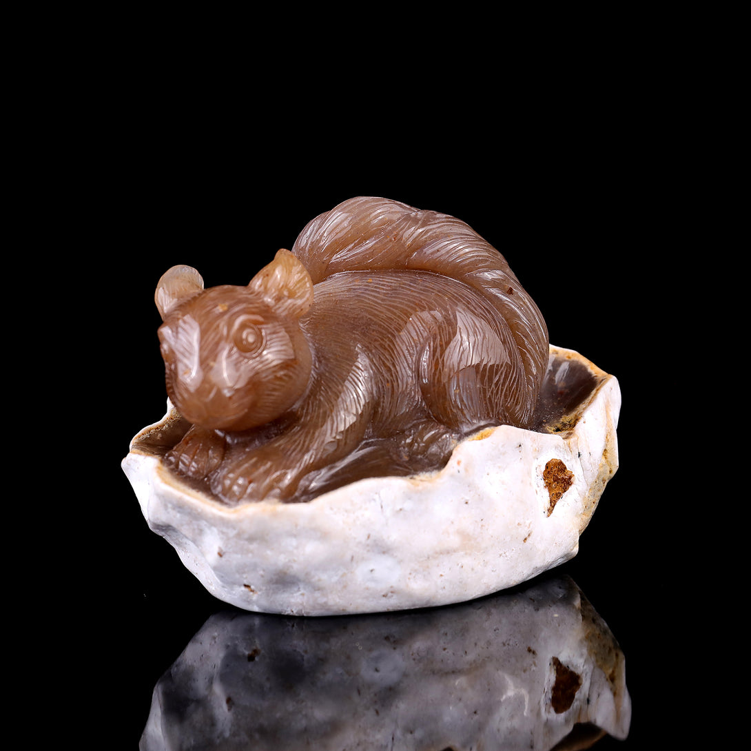 4.5" Chalcedony Hand Carved Crystal Squirrel Sculpture crysvibe