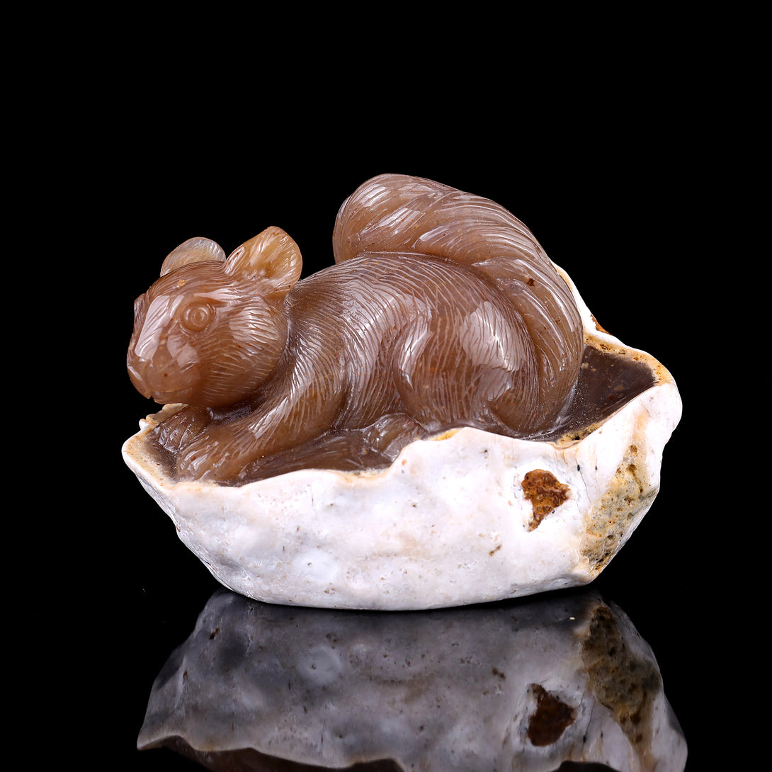 4.5" Chalcedony Hand Carved Crystal Squirrel Sculpture crysvibe