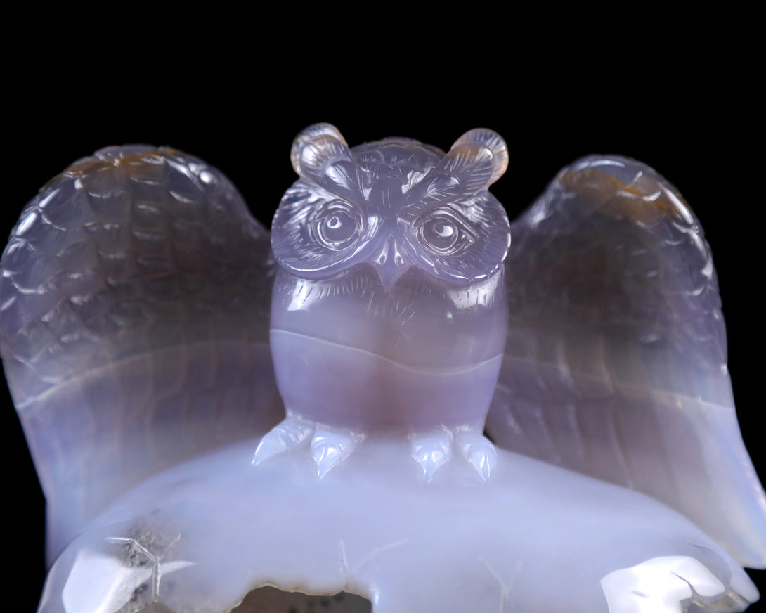 4.6" Blue Chalcedony Hand Carved Crystal Owl Sculpture crysvibe