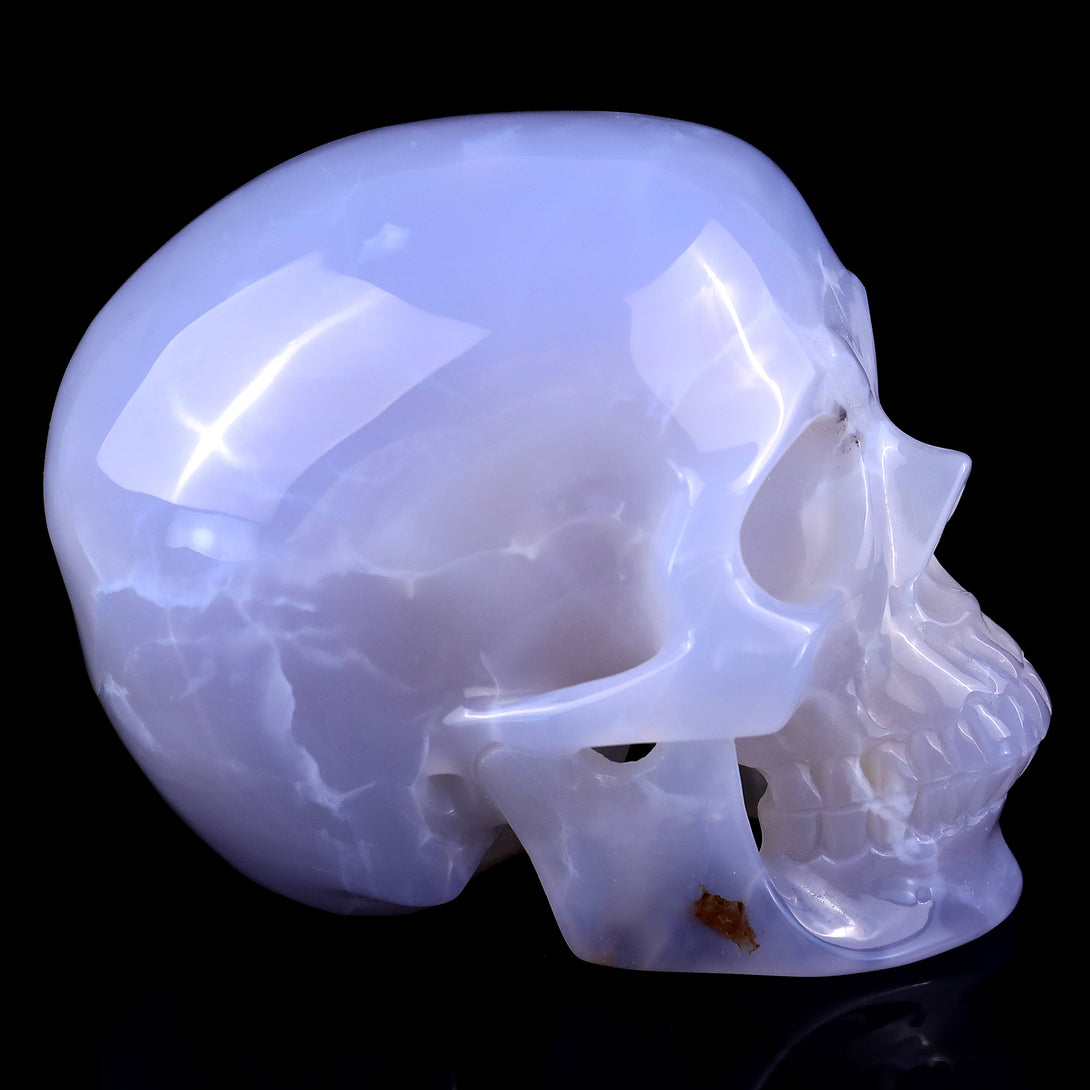 4.6" Blue Chalcedony Hand Carved Crystal Realistic Skull Sculpture crysvibe