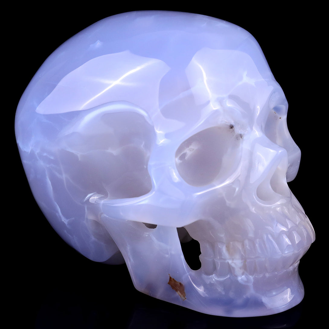 4.6" Blue Chalcedony Hand Carved Crystal Realistic Skull Sculpture crysvibe