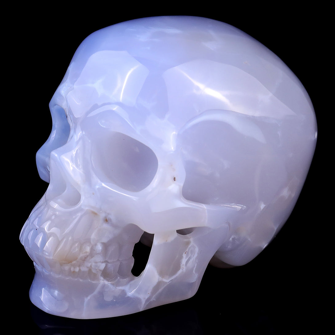 4.6" Blue Chalcedony Hand Carved Crystal Realistic Skull Sculpture crysvibe