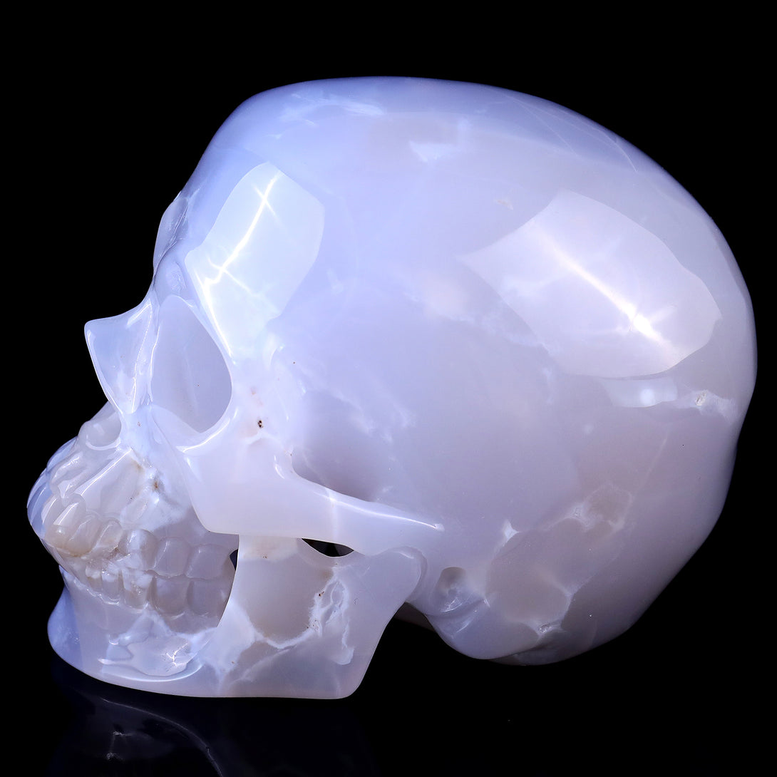 4.6" Blue Chalcedony Hand Carved Crystal Realistic Skull Sculpture crysvibe