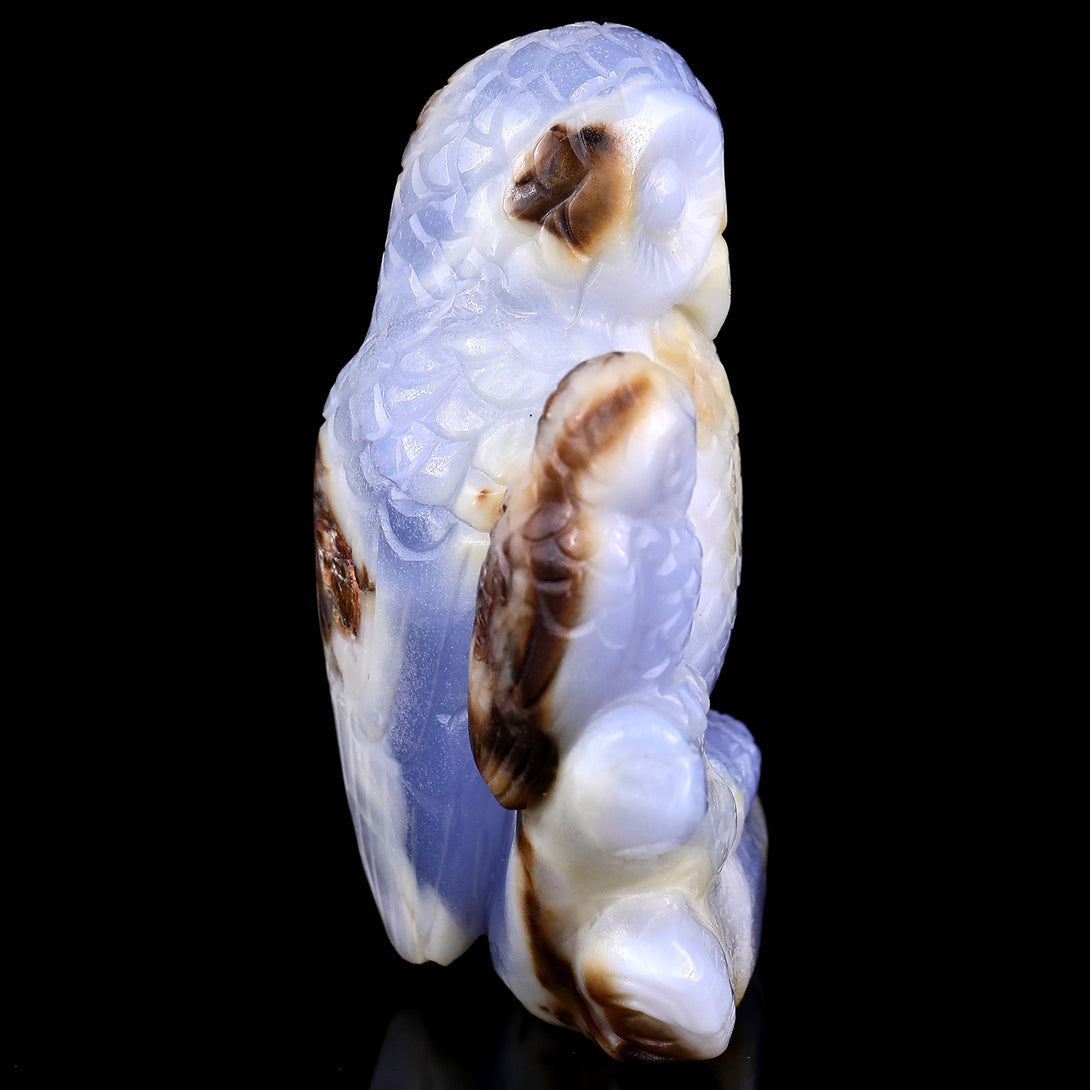 4.7" Blue Chalcedony Hand Carved Crystal Owl Sculpture crysvibe