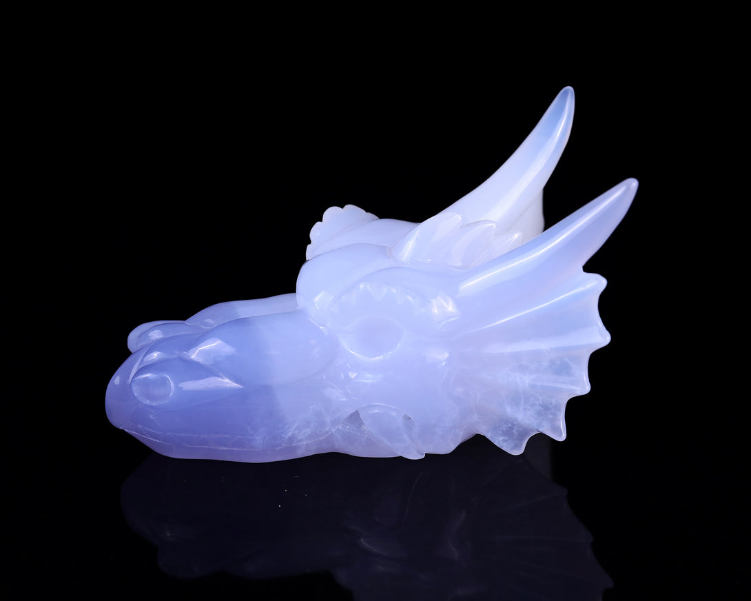 4.9" Blue Chalcedony Hand Carved Crystal Dragon Skull Sculpture crysvibe