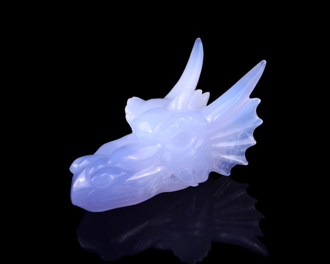 4.9" Blue Chalcedony Hand Carved Crystal Dragon Skull Sculpture crysvibe