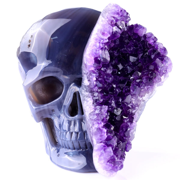 4.9” Natural Amethyst Druse Agate Hand Carved Crystal Geode Skull Sculpture crysvibe