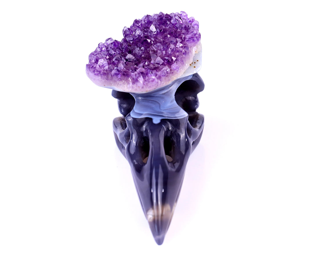 5.0" Amethyst Druse Agate Hand Carved Crystal Raven Skull Sculpture crysvibe