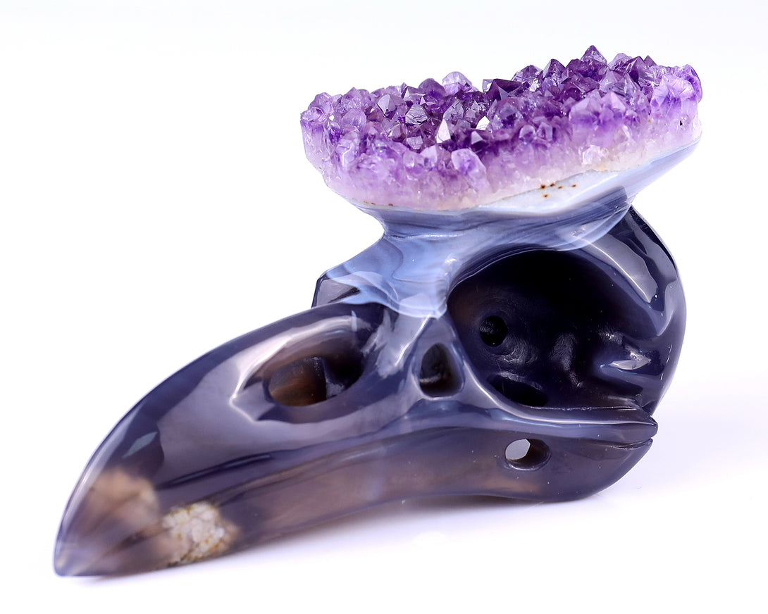 5.0" Amethyst Druse Agate Hand Carved Crystal Raven Skull Sculpture crysvibe