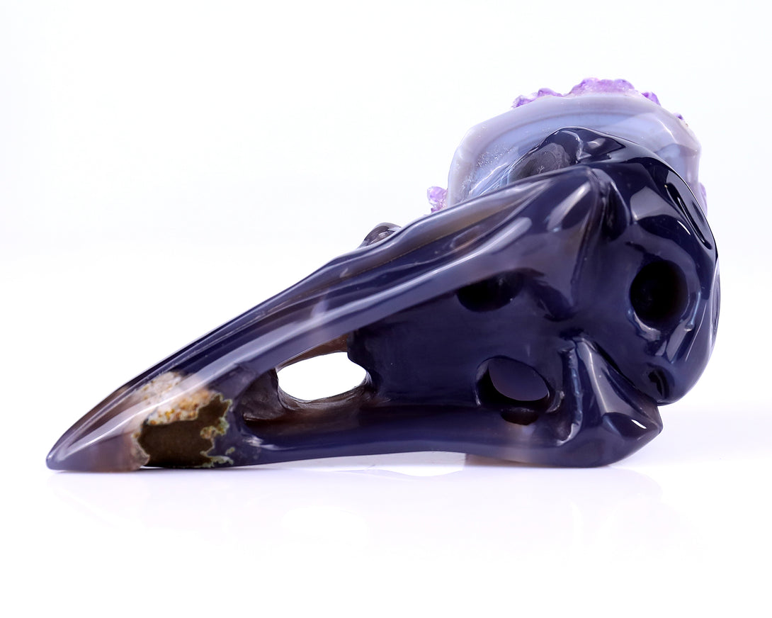 5.0" Amethyst Druse Agate Hand Carved Crystal Raven Skull Sculpture crysvibe