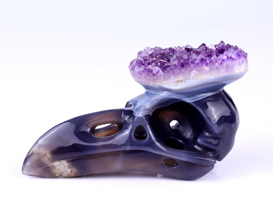 5.0" Amethyst Druse Agate Hand Carved Crystal Raven Skull Sculpture crysvibe