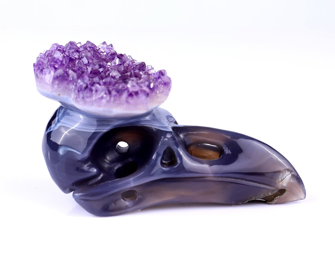 5.0" Amethyst Druse Agate Hand Carved Crystal Raven Skull Sculpture crysvibe