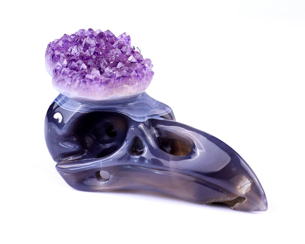 5.0" Amethyst Druse Agate Hand Carved Crystal Raven Skull Sculpture crysvibe