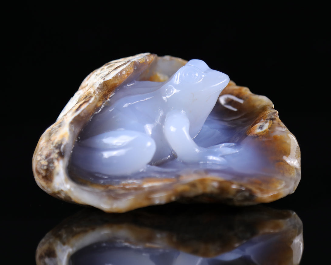 5.2" Blue Chalcedony Hand Carved Crystal Geode Frog Sculpture crysvibe