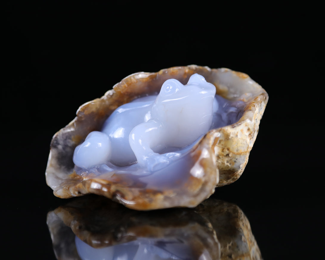 5.2" Blue Chalcedony Hand Carved Crystal Geode Frog Sculpture crysvibe