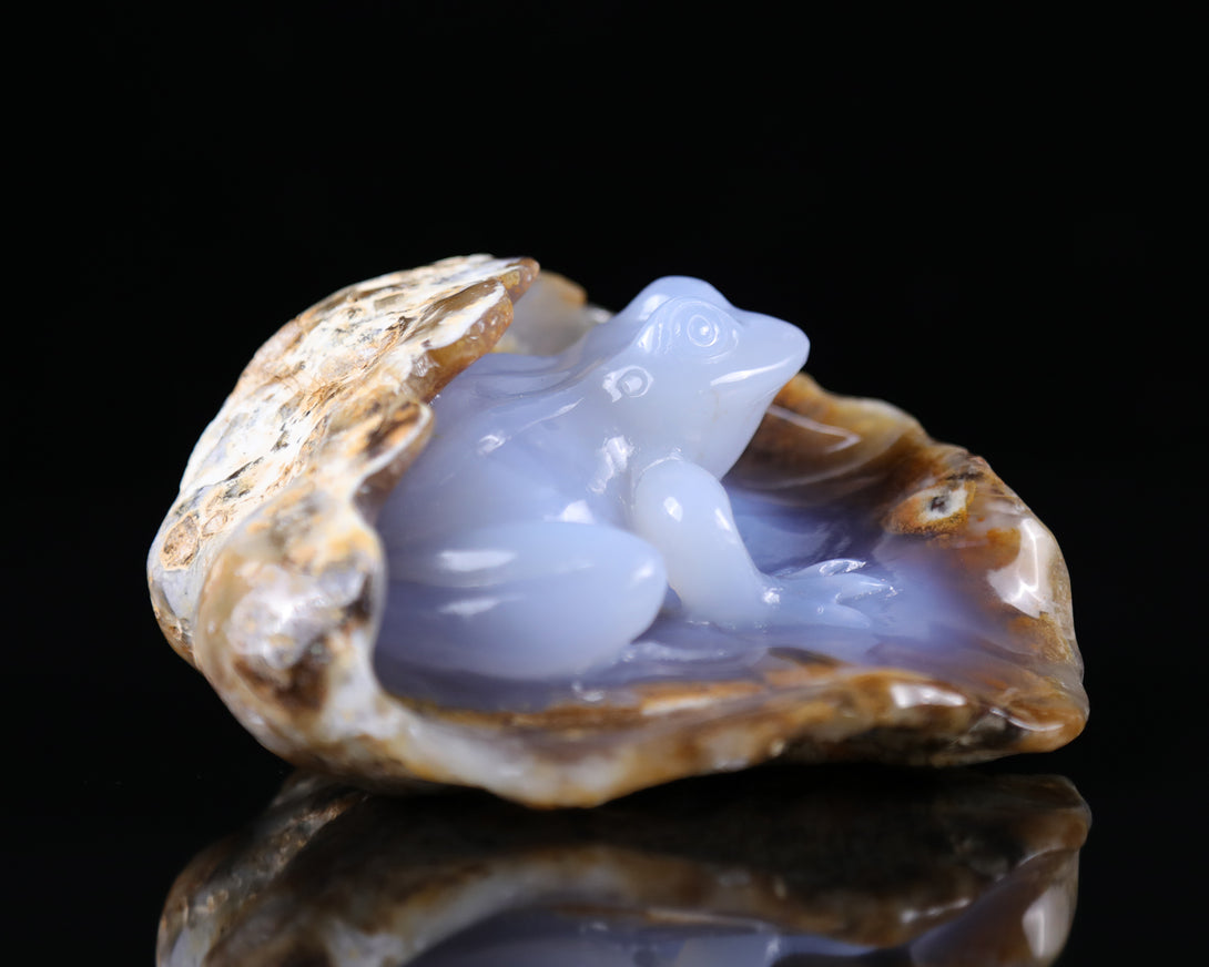 5.2" Blue Chalcedony Hand Carved Crystal Geode Frog Sculpture crysvibe