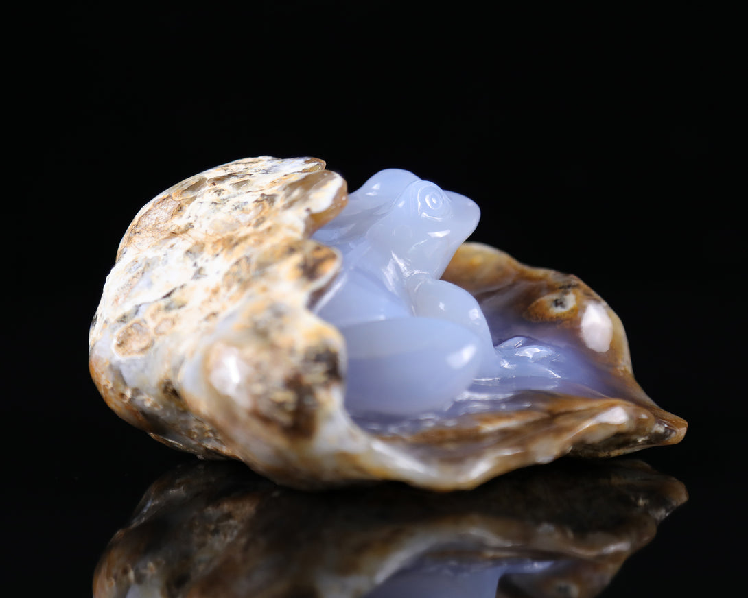 5.2" Blue Chalcedony Hand Carved Crystal Geode Frog Sculpture crysvibe