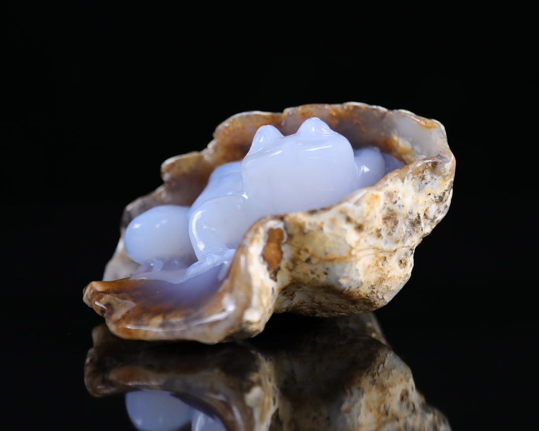 5.2" Blue Chalcedony Hand Carved Crystal Geode Frog Sculpture crysvibe