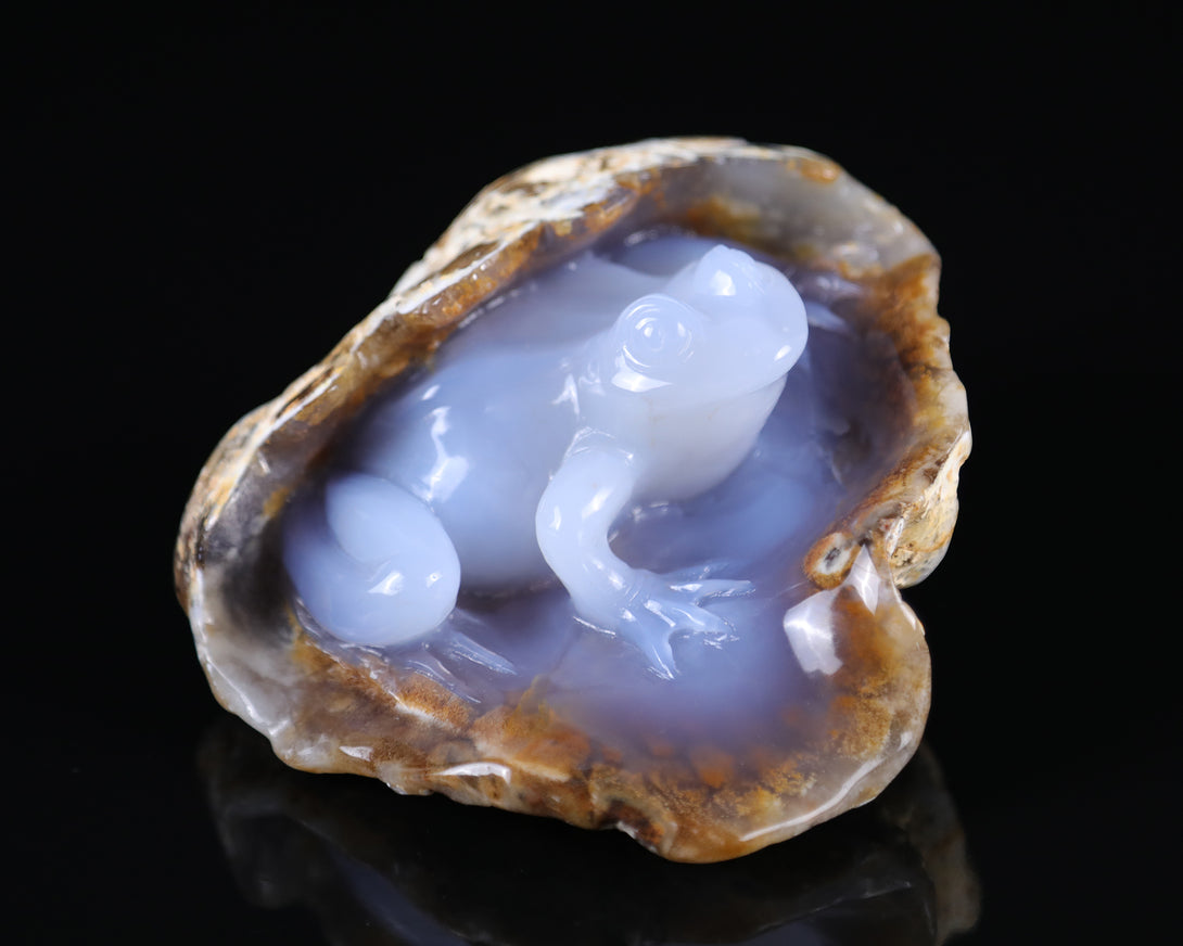 5.2" Blue Chalcedony Hand Carved Crystal Geode Frog Sculpture crysvibe