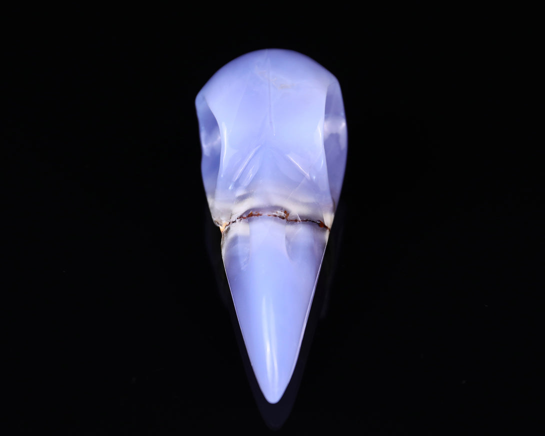 5.2" Blue Chalcedony Hand Carved Crystal Raven Skull Sculpture crysvibe