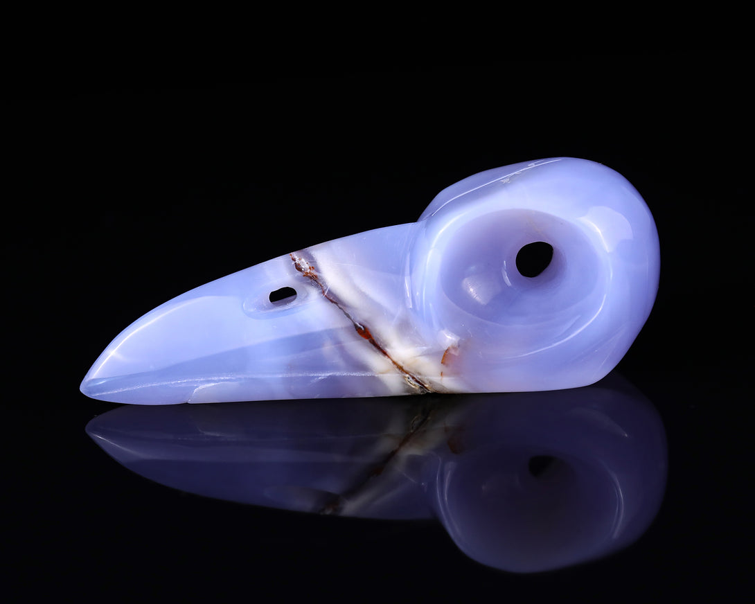 5.2" Blue Chalcedony Hand Carved Crystal Raven Skull Sculpture crysvibe