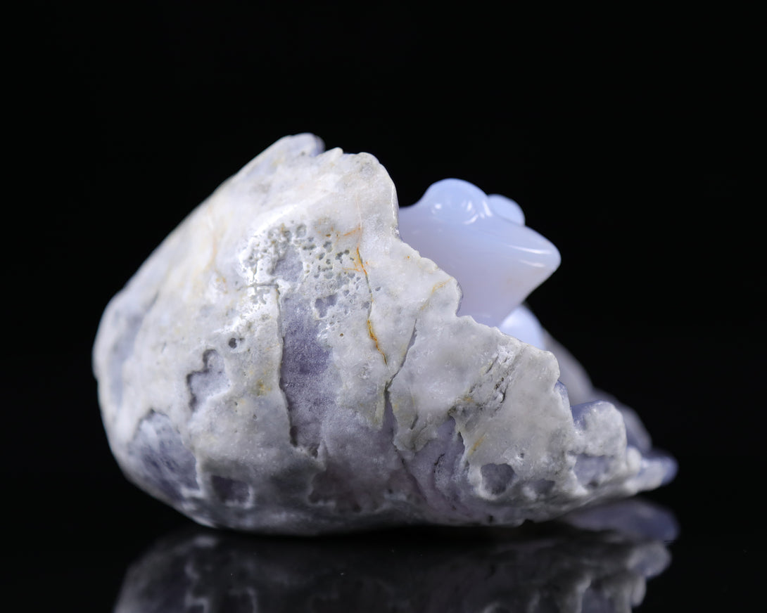 5.3" Blue Chalcedony Hand Carved Crystal Frog Sculpture crysvibe