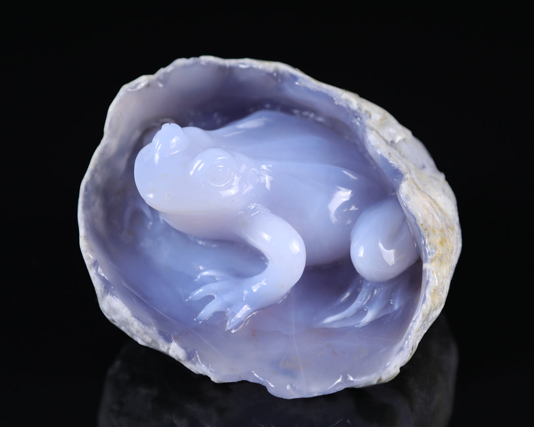 5.3" Blue Chalcedony Hand Carved Crystal Frog Sculpture crysvibe