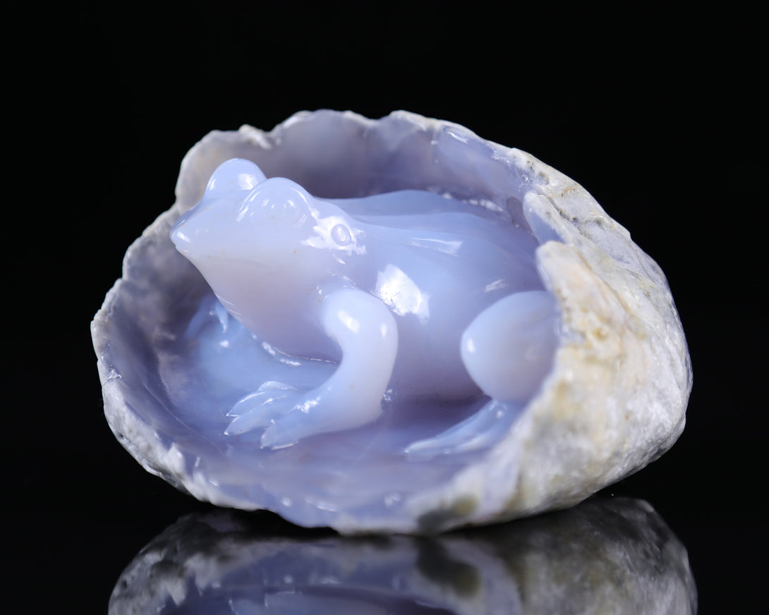 5.3" Blue Chalcedony Hand Carved Crystal Frog Sculpture crysvibe