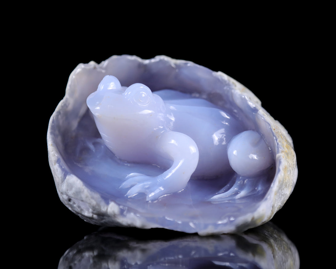 5.3" Blue Chalcedony Hand Carved Crystal Frog Sculpture crysvibe