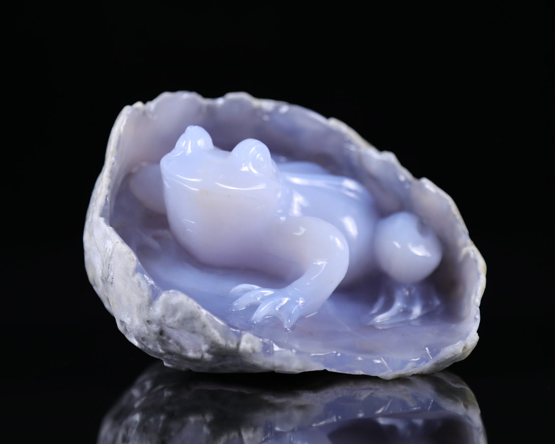 5.3" Blue Chalcedony Hand Carved Crystal Frog Sculpture crysvibe