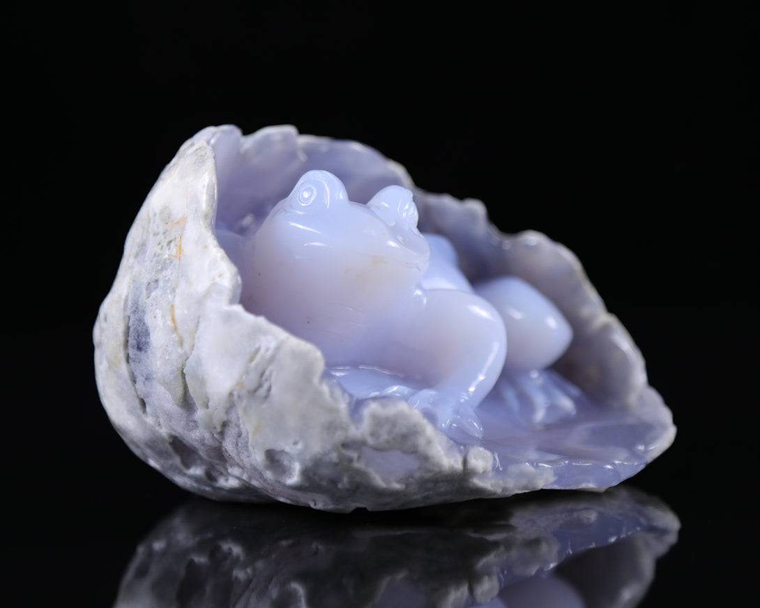 5.3" Blue Chalcedony Hand Carved Crystal Frog Sculpture crysvibe