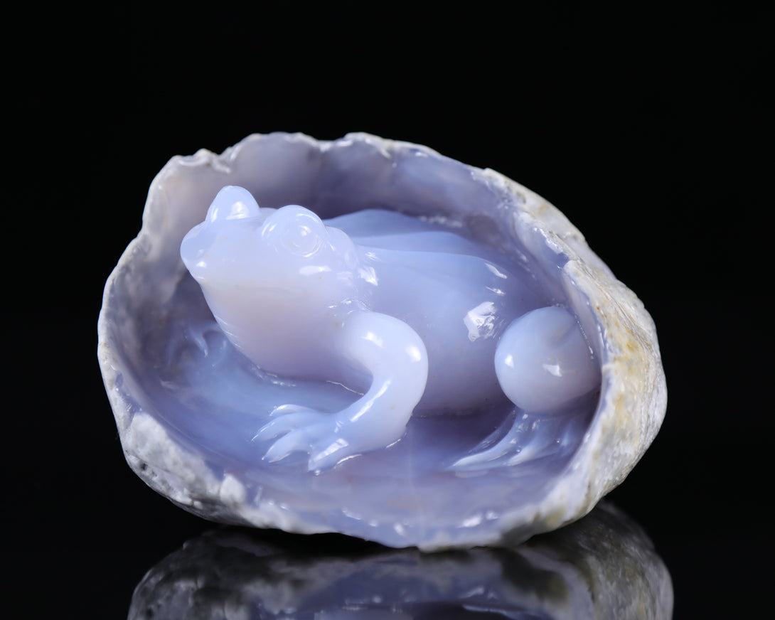 5.3" Blue Chalcedony Hand Carved Crystal Frog Sculpture crysvibe