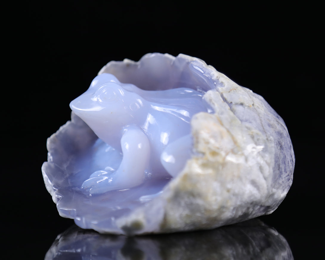 5.3" Blue Chalcedony Hand Carved Crystal Frog Sculpture crysvibe