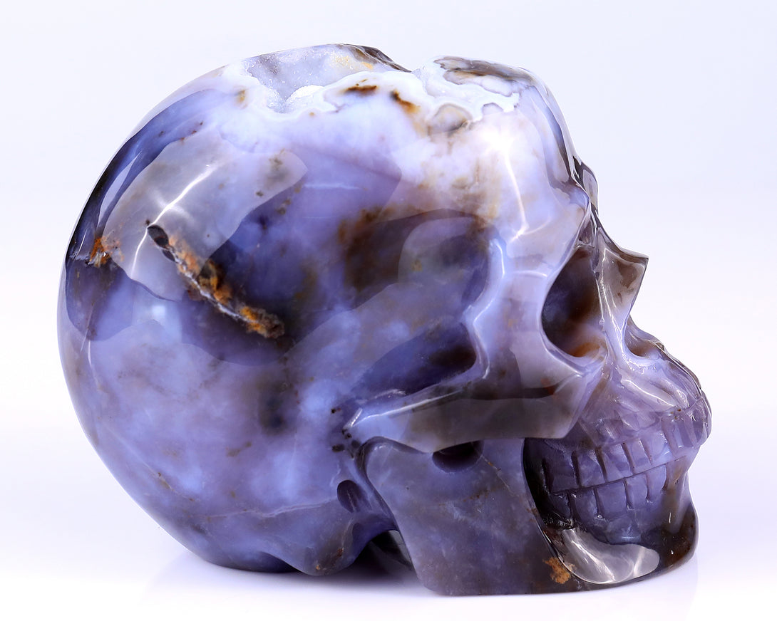 5.4" Blue Chalcedony Hand Carved Crystal Realistic Skull Sculpture crysvibe