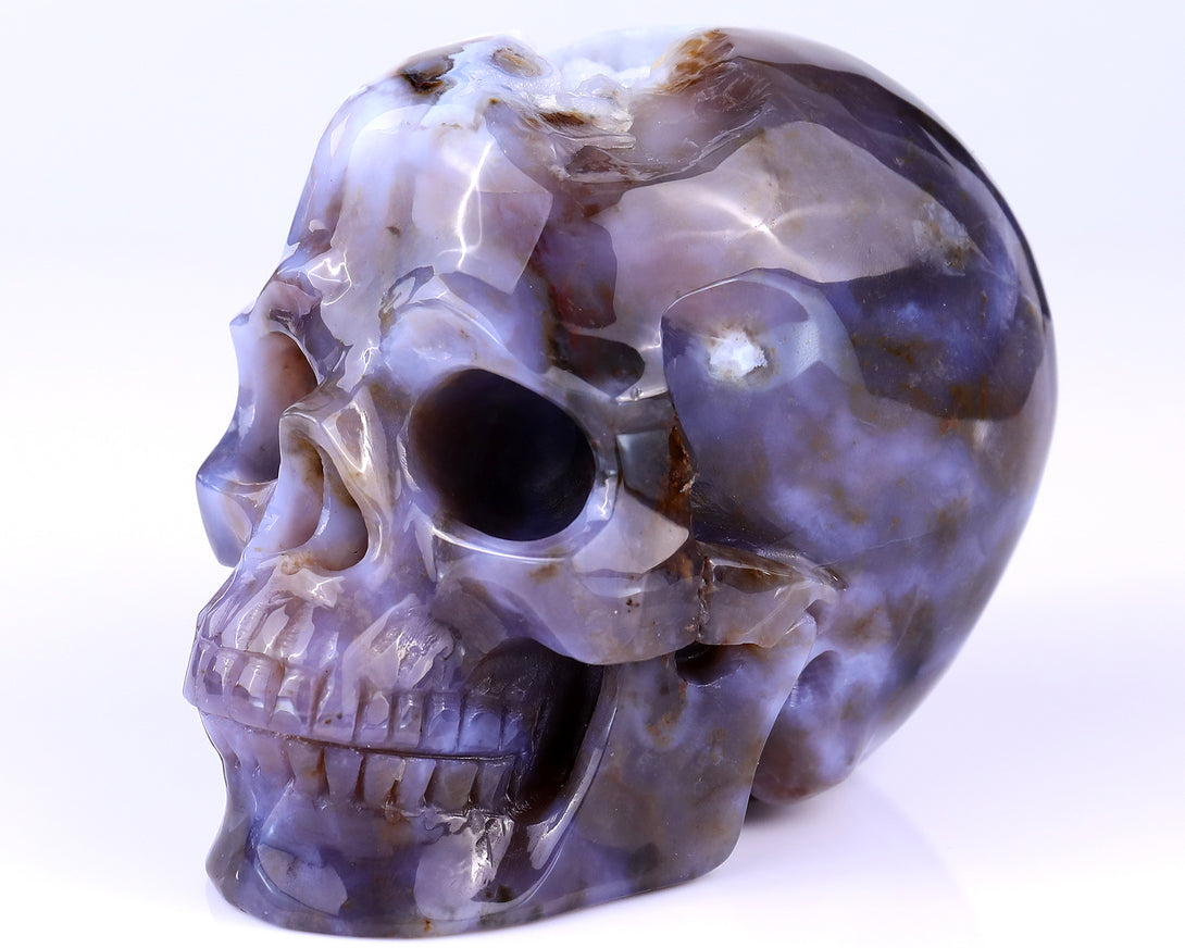 5.4" Blue Chalcedony Hand Carved Crystal Realistic Skull Sculpture crysvibe