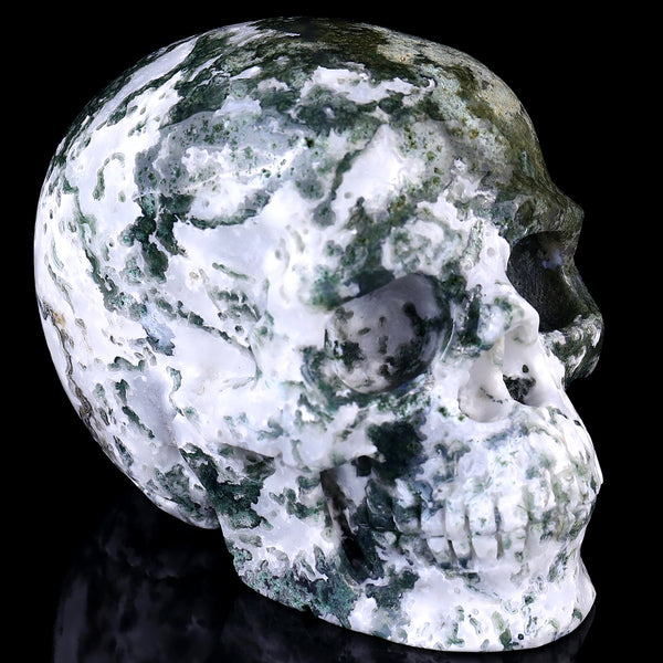 5.4" Moss Agate Hand Carved Crystal Realistic Skull Sculpture crysvibe