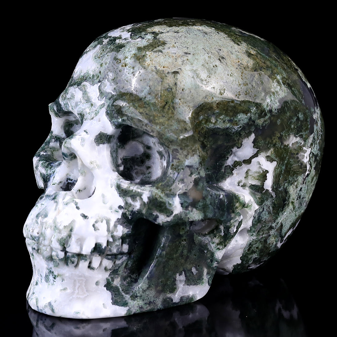 5.4" Moss Agate Hand Carved Crystal Realistic Skull Sculpture crysvibe