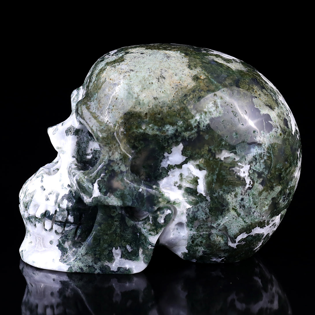 5.4" Moss Agate Hand Carved Crystal Realistic Skull Sculpture crysvibe