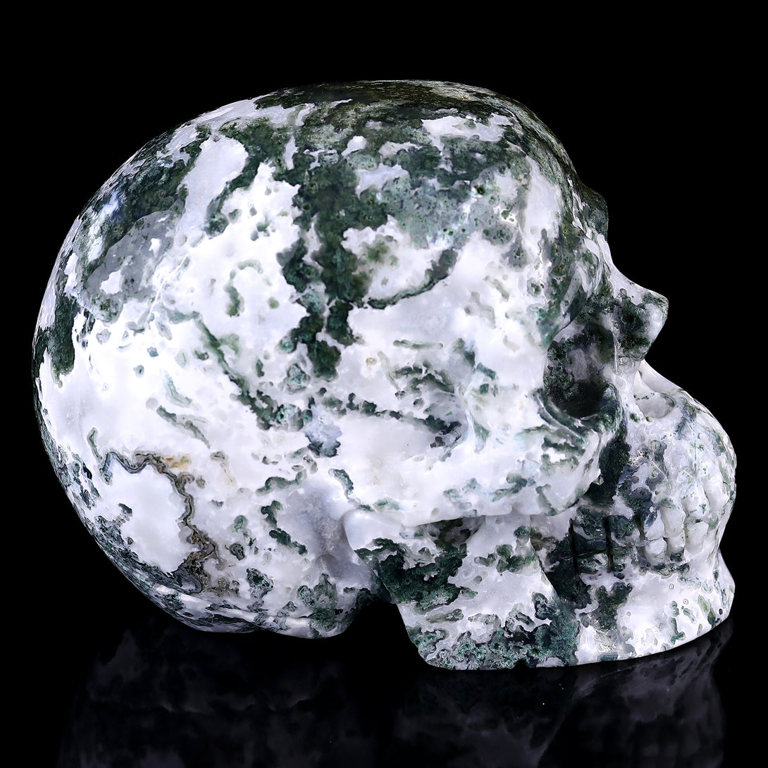 5.4" Moss Agate Hand Carved Crystal Realistic Skull Sculpture crysvibe