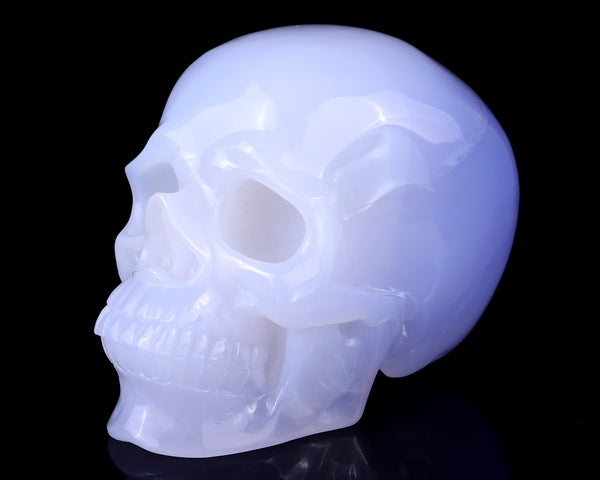 5.6" Blue Chalcedony Hand Carved Crystal Realistic Skull Sculpture crysvibe