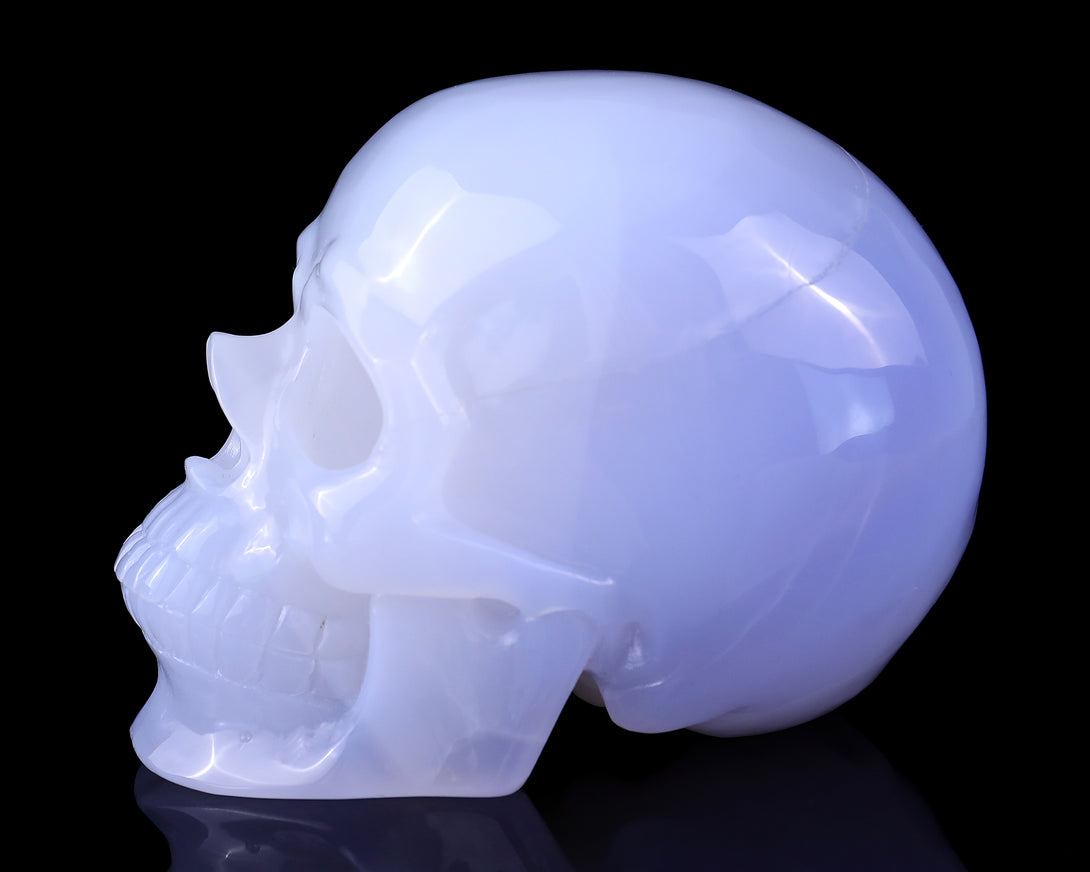 5.6" Blue Chalcedony Hand Carved Crystal Realistic Skull Sculpture crysvibe