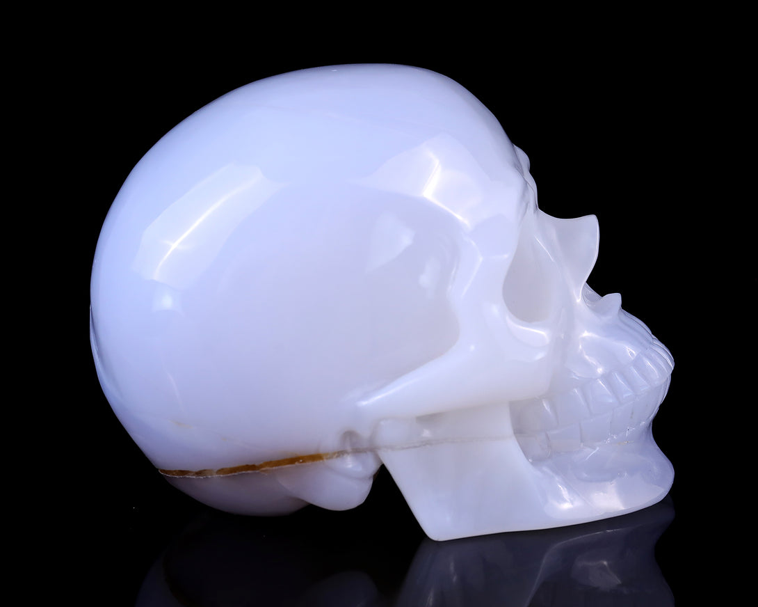 5.6" Blue Chalcedony Hand Carved Crystal Realistic Skull Sculpture crysvibe