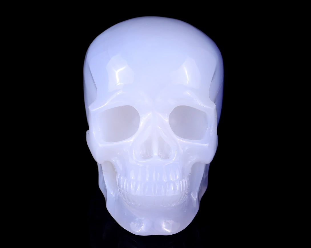 5.6" Blue Chalcedony Hand Carved Crystal Realistic Skull Sculpture crysvibe