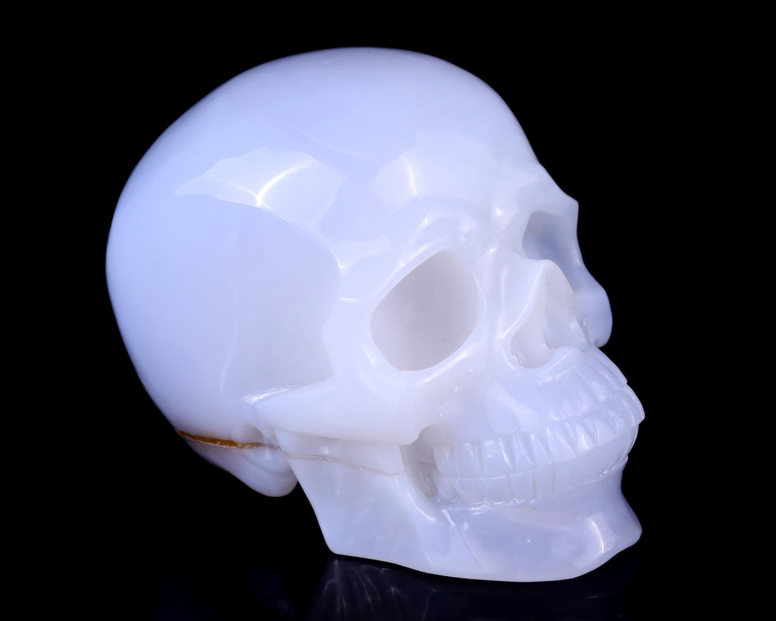 5.6" Blue Chalcedony Hand Carved Crystal Realistic Skull Sculpture crysvibe