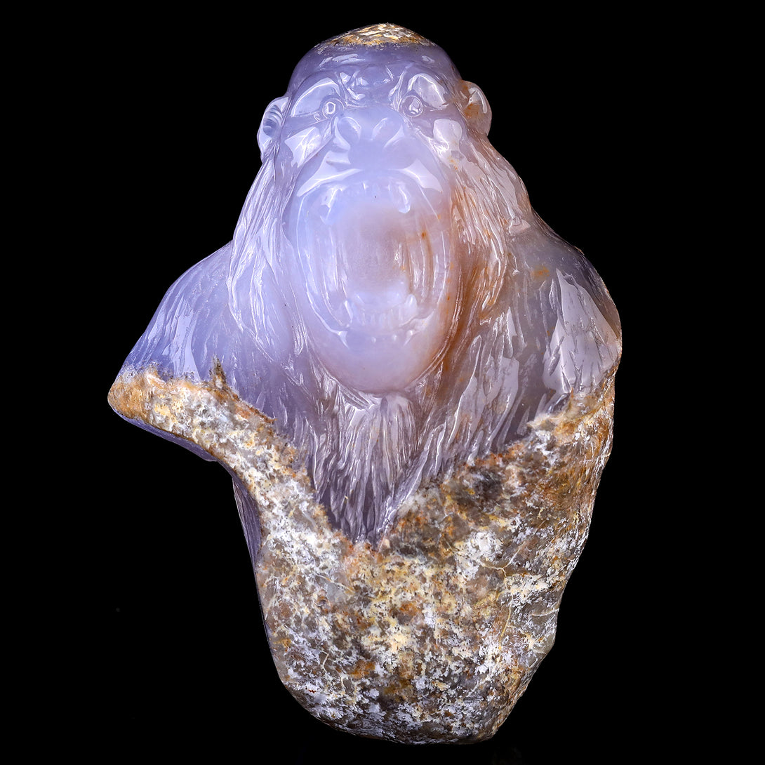 5.7" Blue Chalcedony Hand Carved Crystal Gorilla Head Sculpture crysvibe