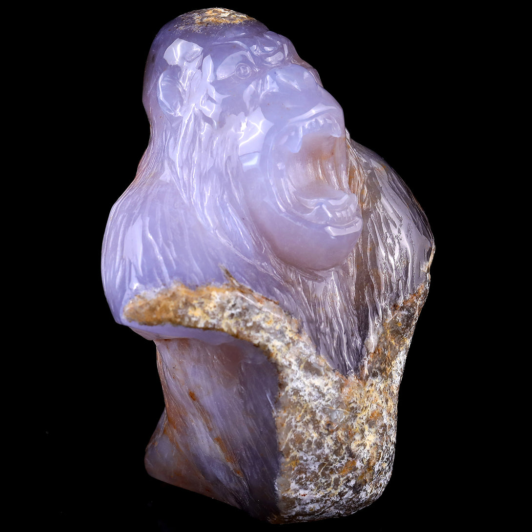 5.7" Blue Chalcedony Hand Carved Crystal Gorilla Head Sculpture crysvibe